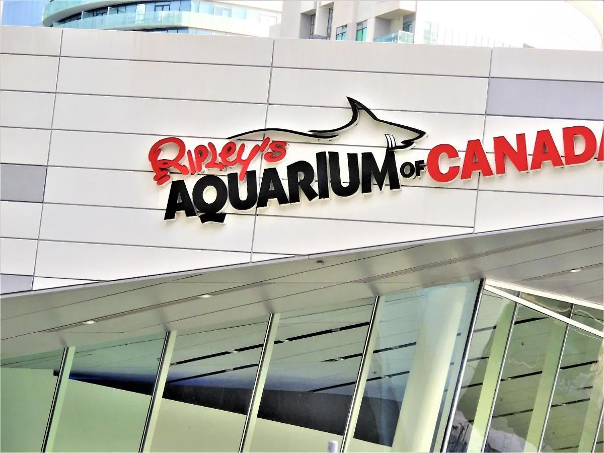 Iresidence In Toronto - Unique Mansion - Fantastic Views With Breakfast Kanada